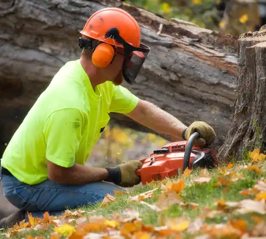 tree services Bowman